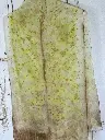 RoseFraiches5.webp